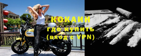 мяу мяу мука Аркадак