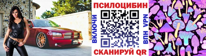 Псилоцибиновые грибы мицелий  Нижняя Тура 
